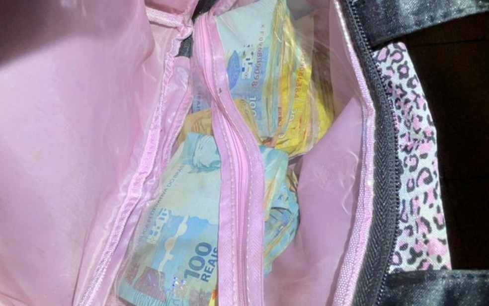 Bolsa com cerca de R$ 7 mil foi encontrada na casa dos suspeitos, em Campos Belos  — Foto: Polícia Civil/Divulgação 