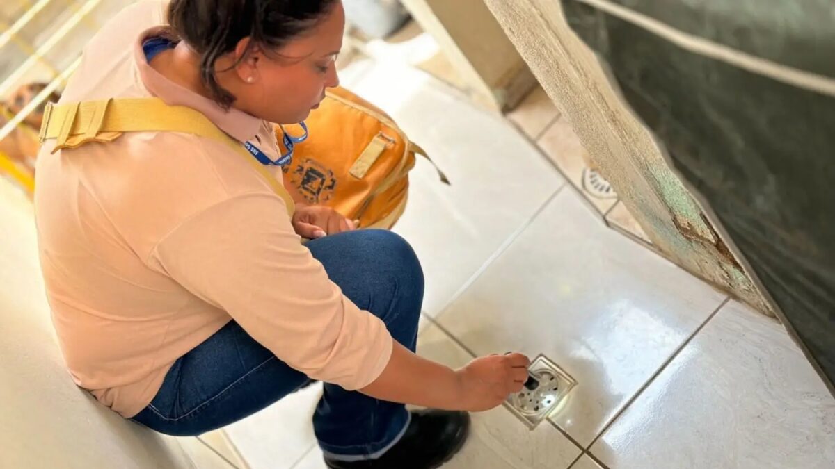 Chegada das chuvas aumenta preocupação com dengue em Goiás e Goiânia