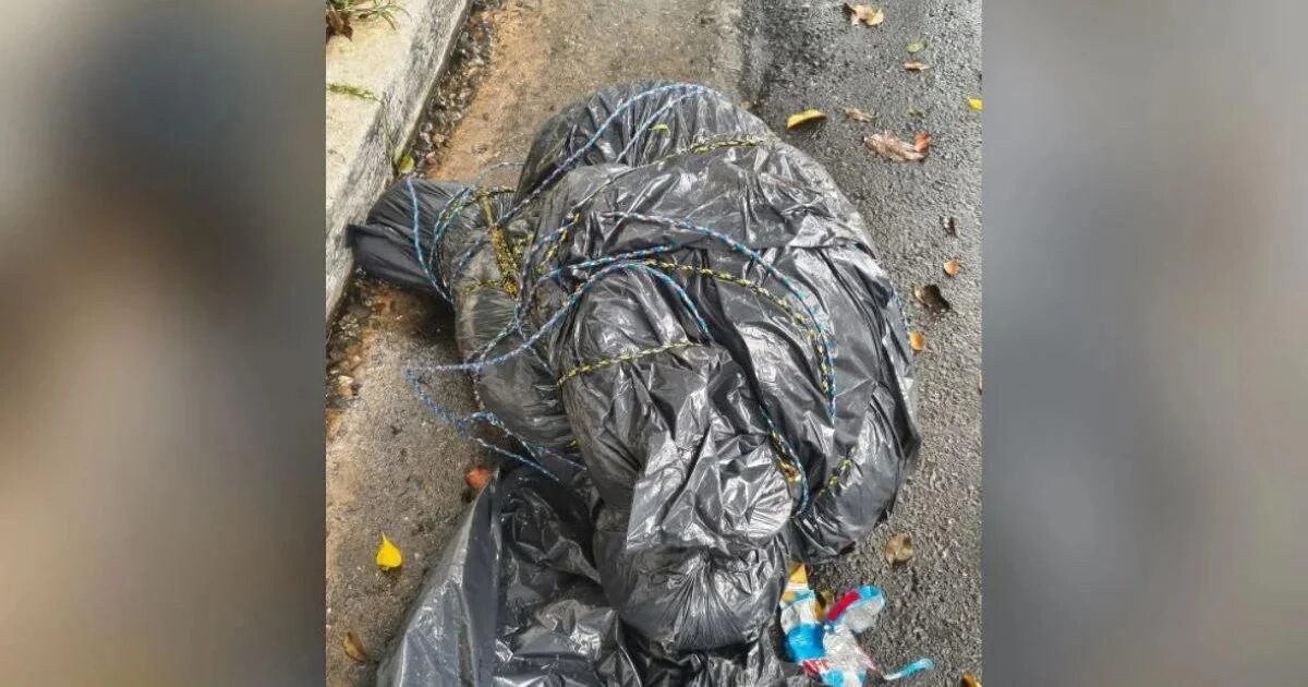 Cinco corpos encontrados em sacos em SP alimentam especulações sobre possível serial killer