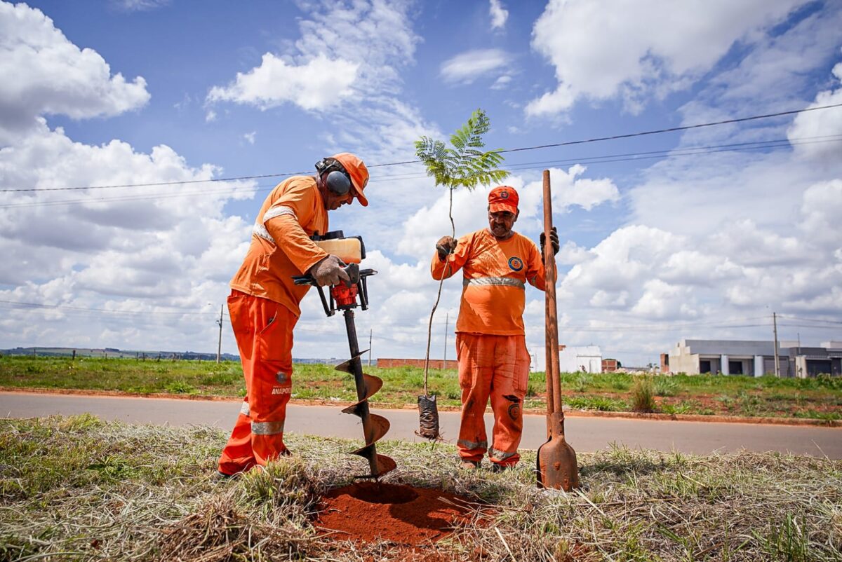 Com chegada das chuvas, Prefeitura reforça Programa Anápolis Mais Verde; 277 mudas serão plantadas em três avenidas