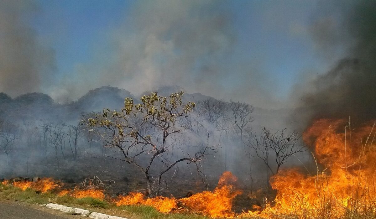Fieg publica guia de preparação das indústrias goianas diante dos efeitos climáticos