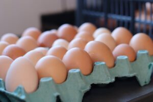 Goiás registra segundo melhor resultado histórico na produção de ovos