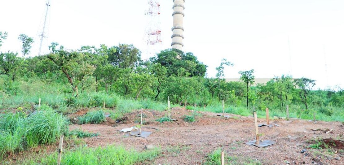 Governo de Goiás investe R$ 14,4 milhões na revitalização do Parque da Serrinha