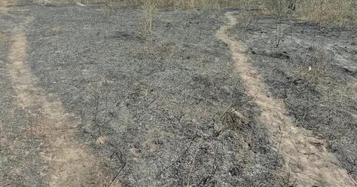 Incêndio atinge vegetação perto de centro cultural em aldeia Kariri-Xocó