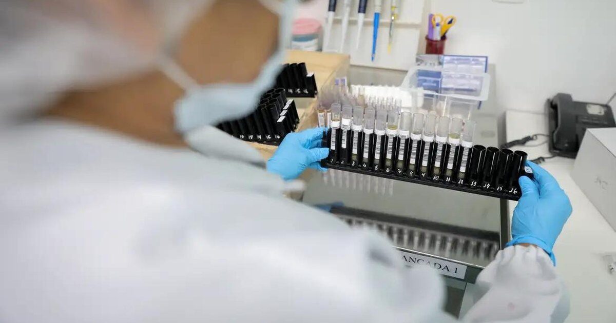 Malária: Anvisa autoriza teste em humanos de vacina 100% brasileira