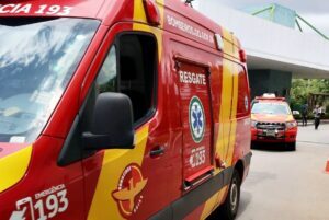 Motorista fica ferido após colidir carro contra bovinos na GO-446 em Iaciara